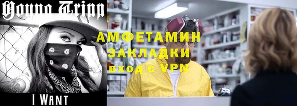 шишки Белоозёрский