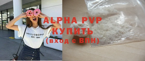 шишки Белоозёрский