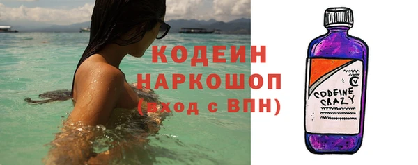 шишки Белоозёрский