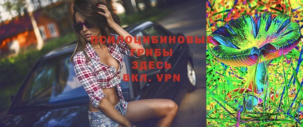 шишки Белоозёрский