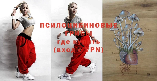 шишки Белоозёрский