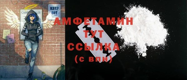 шишки Белоозёрский