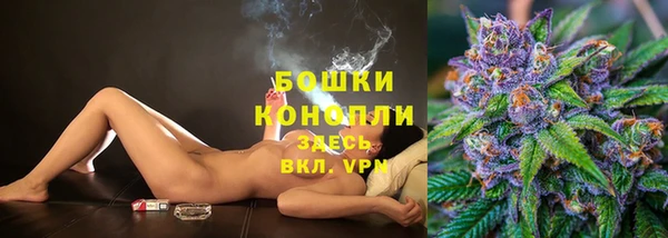 шишки Белоозёрский