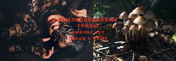 героин Белокуриха