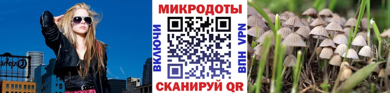 Псилоцибиновые грибы ЛСД Кодинск