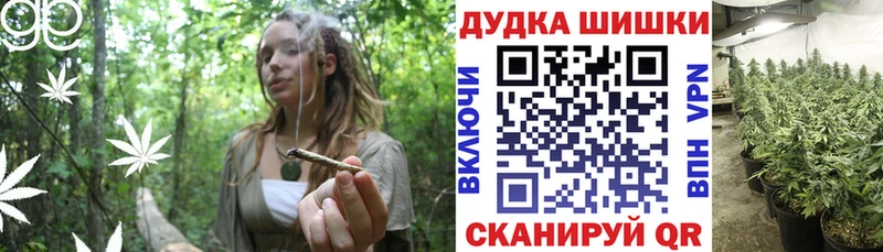 как найти Кодинск Каннабис SATIVA & INDICA